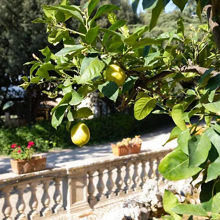 Storica Di Famiglia Sui Colli Senesi סיינה
