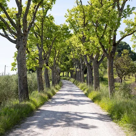 Storica Di Famiglia Sui Colli Senesi Siena